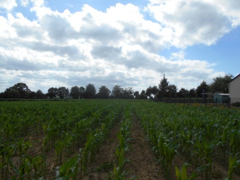 a 7mn de st hilaire du harcouet