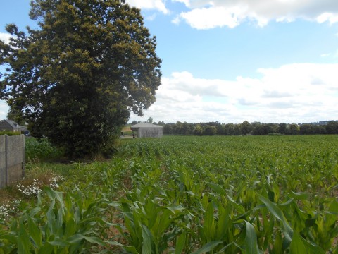 a 7mn de st hilaire du harcouet