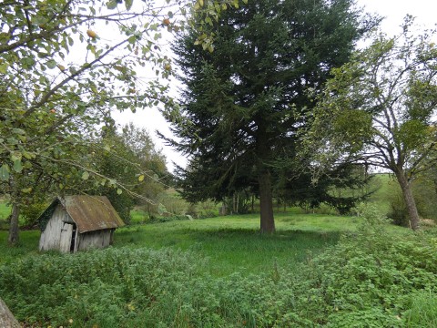 region st hilaire du harcout